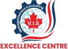 vis-logo